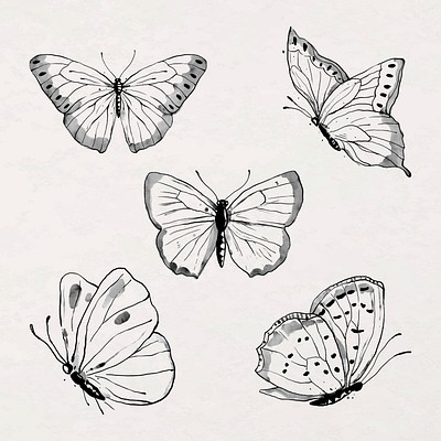 Ink line butterfly sticker illustration | Premium Vector - rawpixel