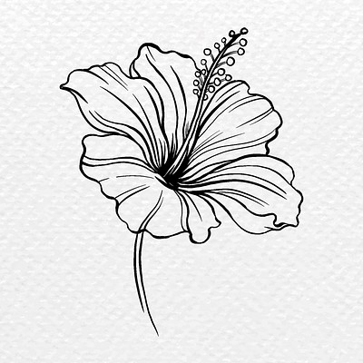 Hibiscus Flower Clipart, Black Vintage | Free Photo Illustration - Rawpixel
