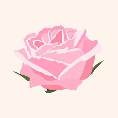 Pink rose sticker, feminine flower | Premium Vector Illustration - rawpixel