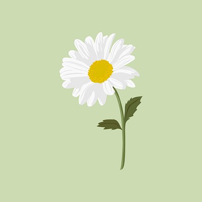 Aesthetic daisy sticker, white flower | Premium Vector Illustration ...