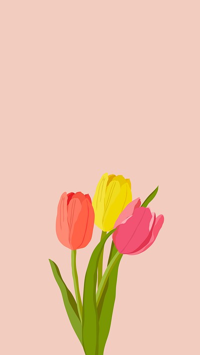Orange Tulip Wallpaper  iPhone Android  Desktop Backgrounds