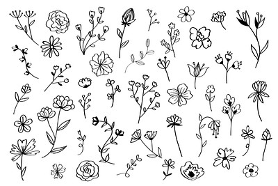 Various flowers doodle collection vector | Premium Vector - rawpixel