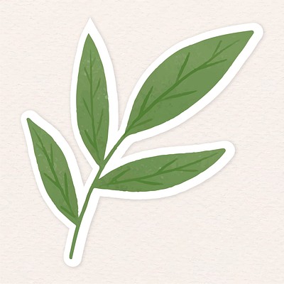 Green leaves sticker illustration | PSD - rawpixel