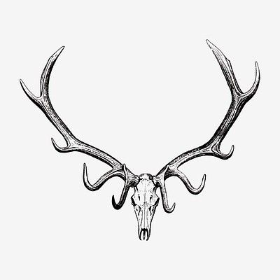 10 Best Elk Tattoo Ideas Collection By Daily Hind News