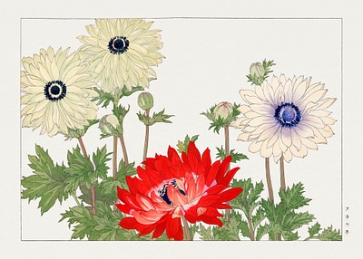 Anemone flower woodblock painting. Digitally | Free Photo Illustration ...