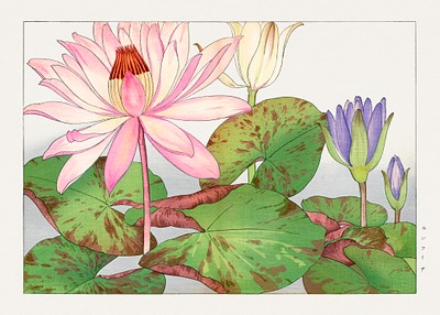 Nymphaea lotus, Japanese woodblock art. | Free Photo Illustration ...
