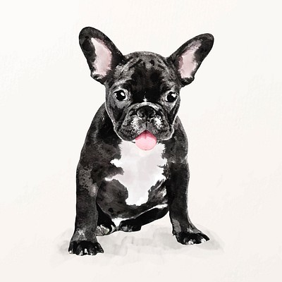 French Bulldog Illustration Vector, Cute 