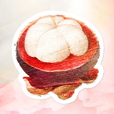 Hand drawn mangosteen fruit sticker with white border