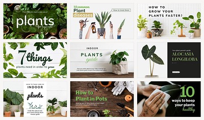 Plant parent beginner template psd | Premium PSD - rawpixel