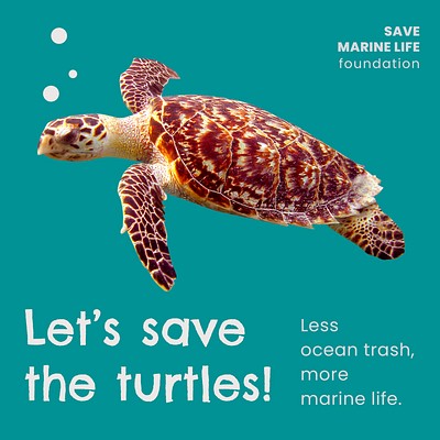 Saving marine life Instagram post | Free Vector Template - rawpixel