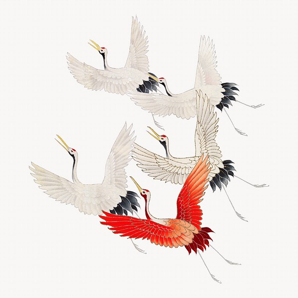 Flying cranes, Japanese vintage illustration | Free Photo Illustration ...