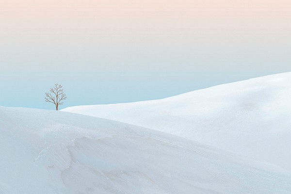 Creative Background Psd Minimal Winter | Premium PSD - Rawpixel