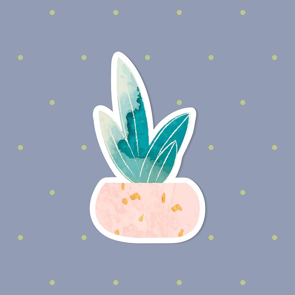 Watercolor succulent potted plant sticker | Premium Vector - rawpixel