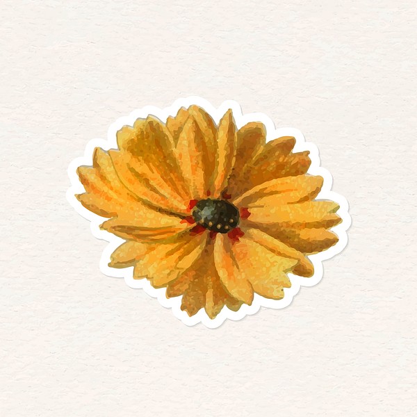 Coreopsis vintage vector yellow flower | Premium Vector - rawpixel