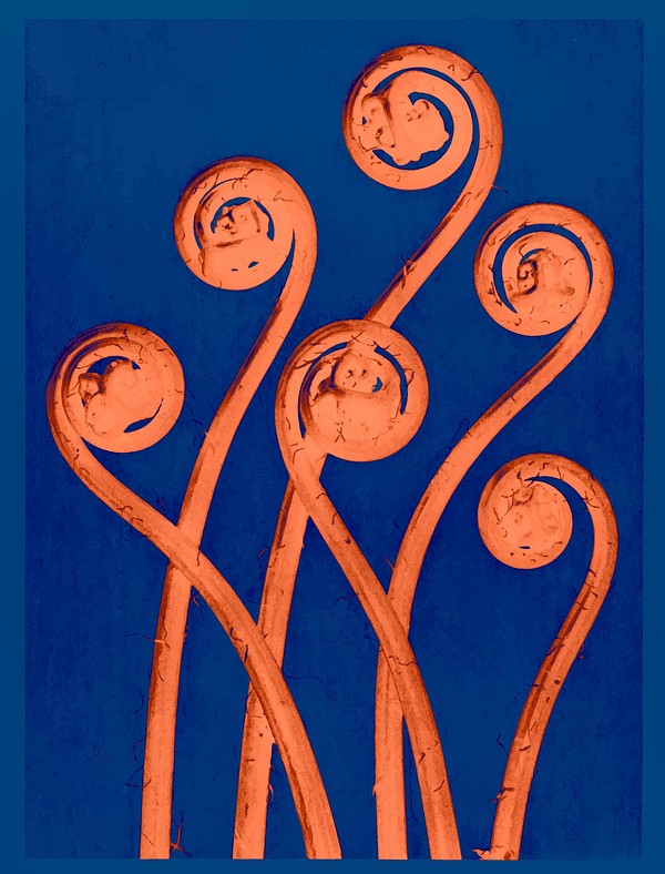 Maidenhair fern vintage design vector, | Premium Vector - rawpixel