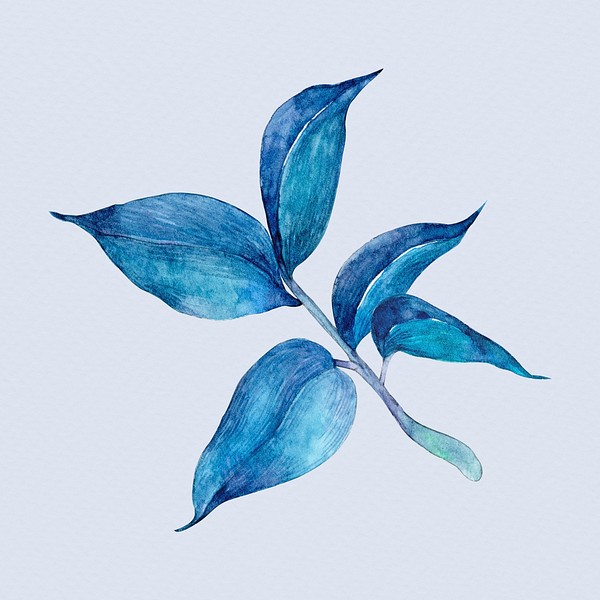 Blue hand drawn watercolor leaf | Premium PSD Illustration - rawpixel
