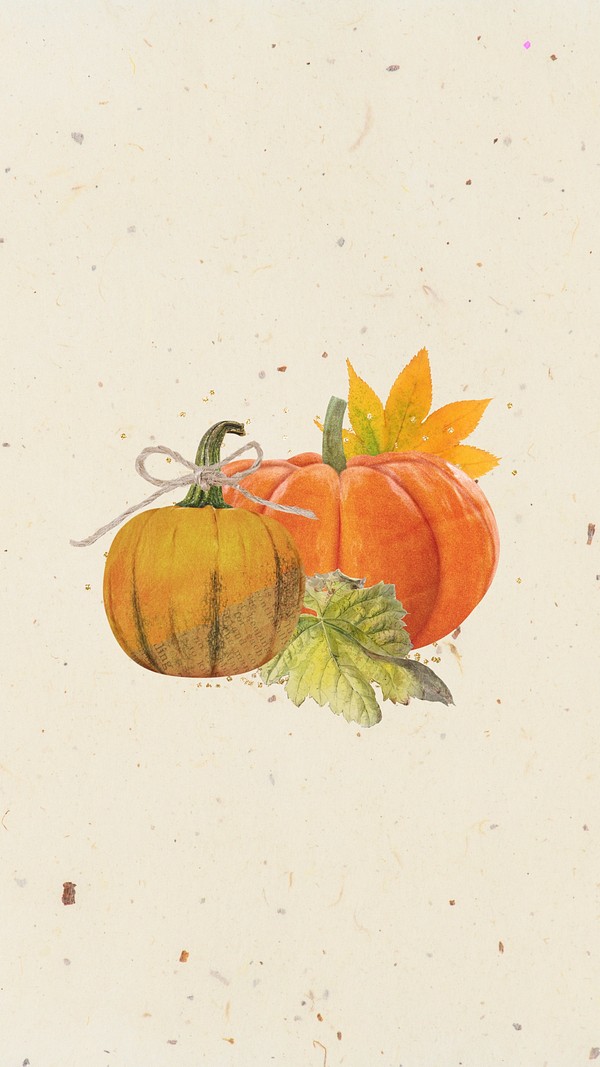 Aesthetic Autumn pumpkin iPhone wallpaper, | Premium Photo - rawpixel