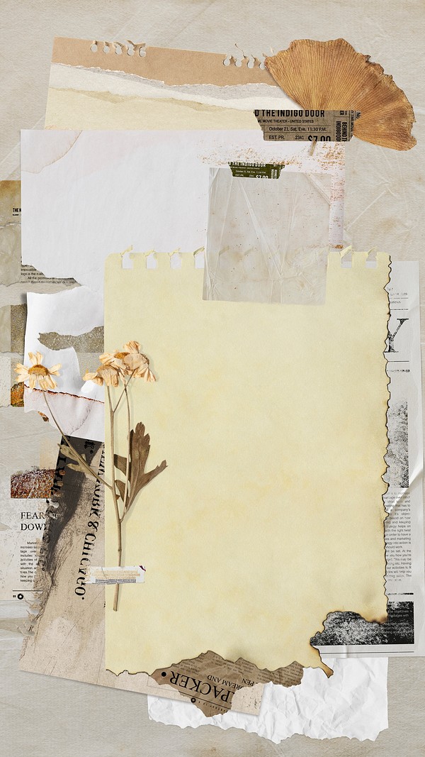 Paper collage Instagram story frame, | Premium Photo - rawpixel