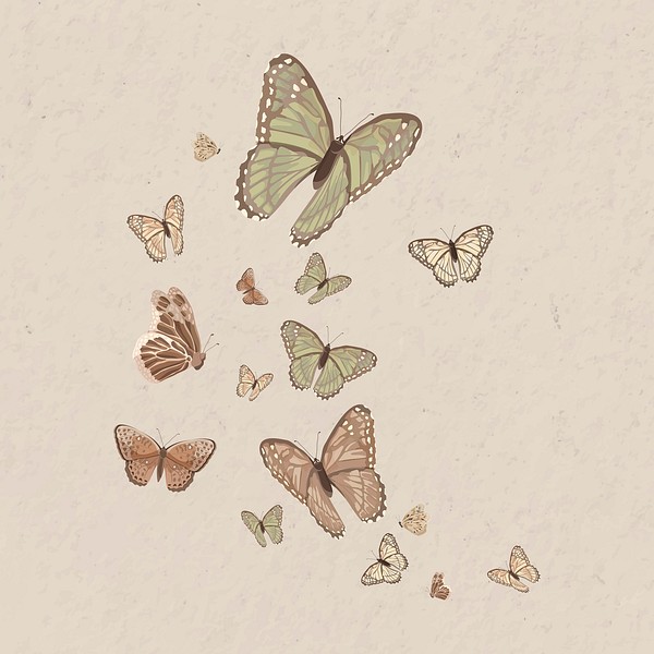 Aesthetic butterfly border, watercolor illustration | Free Photo ...