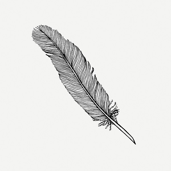 Feather quill drawing, vintage stationery | Free PSD - rawpixel