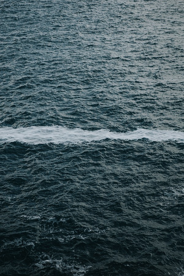 Froth line on the ocean Premium Photo rawpixel