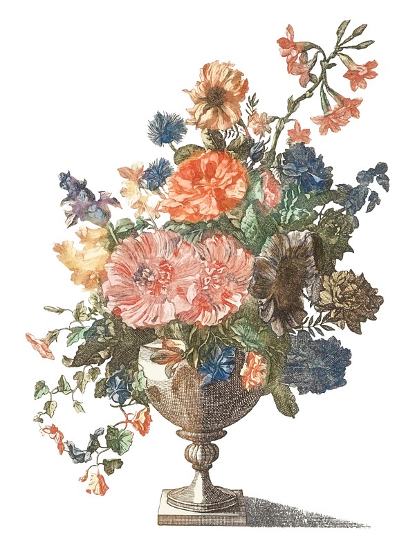 Vintage illustration of a vase | Premium Vector Illustration - rawpixel