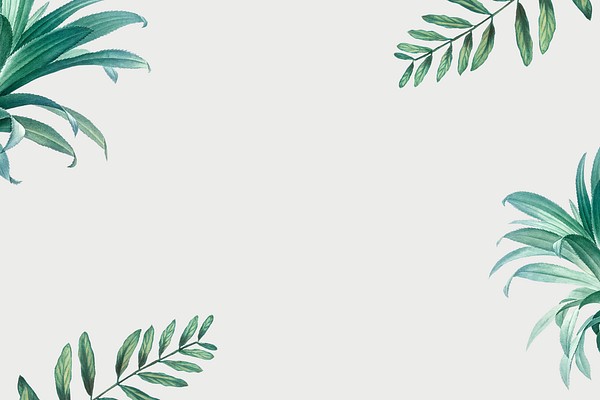 Hand drawn tropical leaves white | Premium PSD - rawpixel