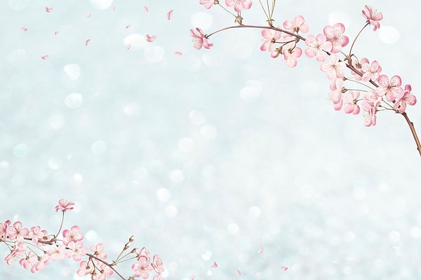 Pink cherry blossom flower branch | Premium PSD - rawpixel