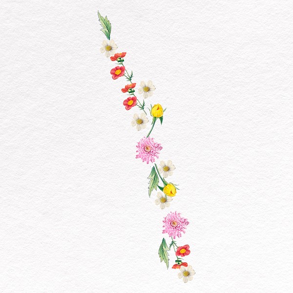 Floral divider clipart, botanical psd Premium PSD rawpixel