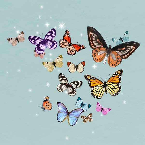 Colorful freedom butterflies clip art, | Premium Vector - rawpixel