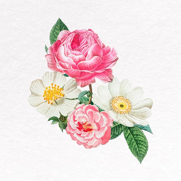 Beautiful flower clip art, botanical Premium Vector rawpixel