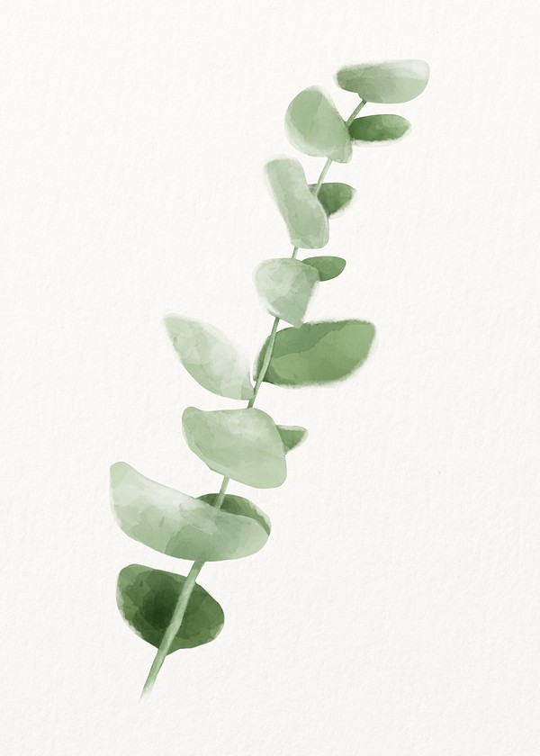 Watercolor baby blue eucalyptus illustration | Free Photo - rawpixel