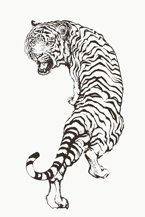 Hand drawn roaring tiger illustration | Premium PSD - rawpixel