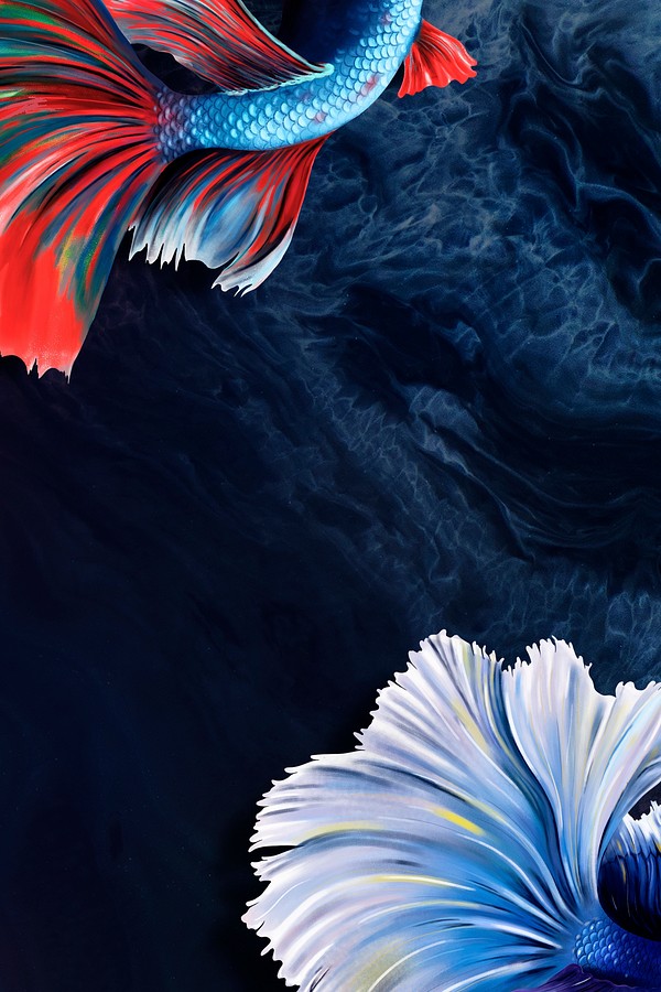 Betta fish tail background design | Premium PSD - rawpixel