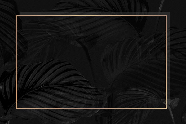 Golden rectangle frame on calathea | Premium PSD - rawpixel