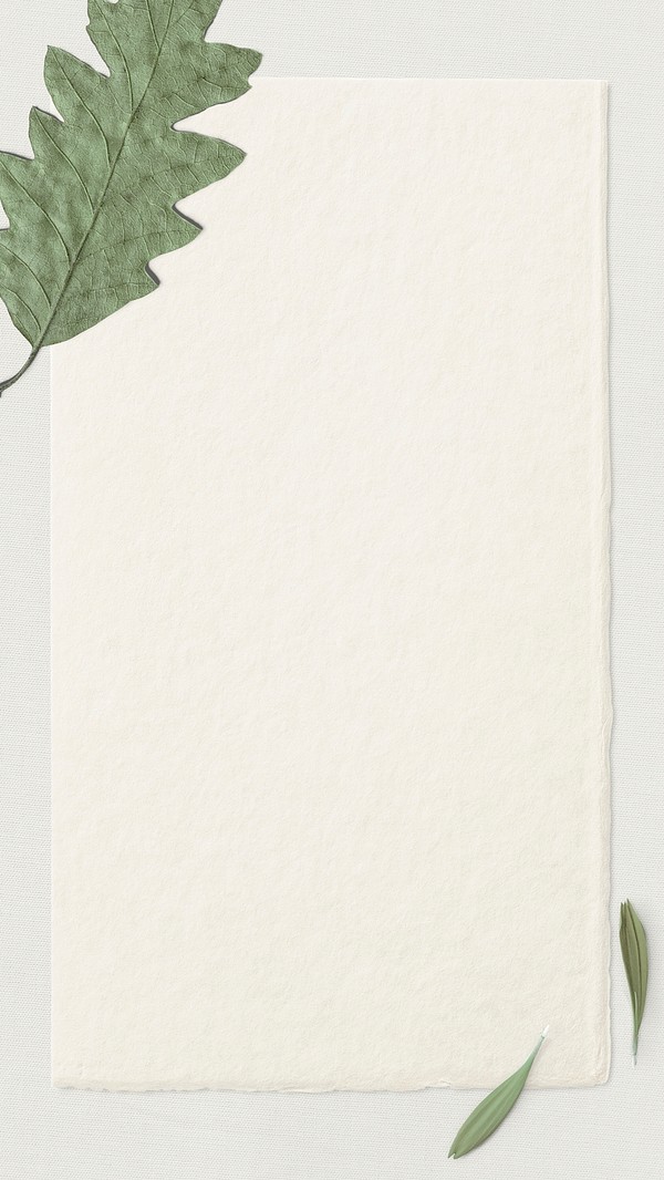 Green Oak Leaf Paper Texture 