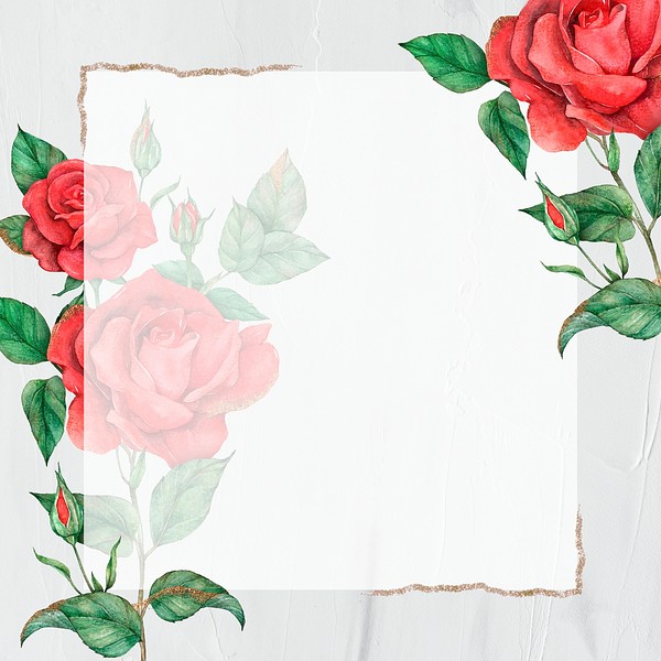 Red rose psd gold border | Premium PSD - rawpixel