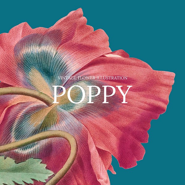 Floral template vector with poppy | Premium Vector Template - rawpixel