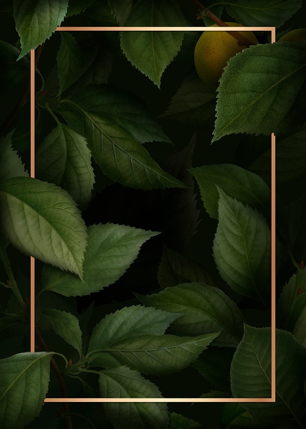 Gold frame briançon apricot pattern | Premium PSD - rawpixel