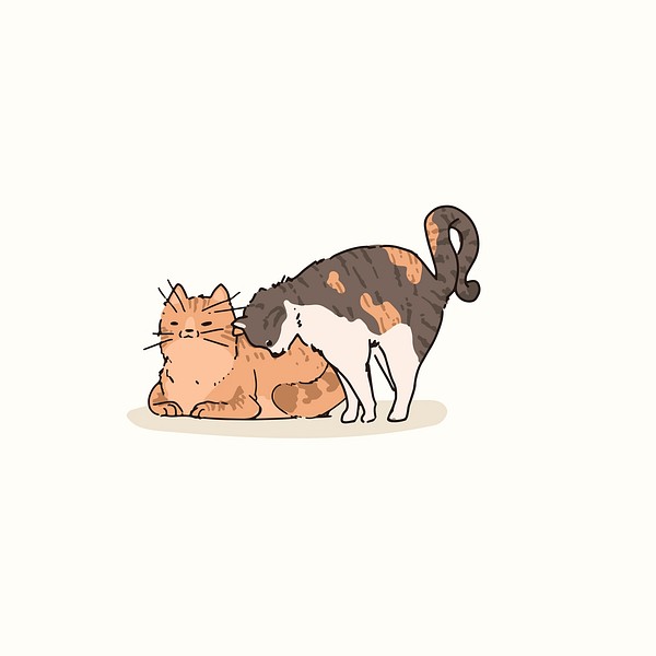 Domestic Shorthair cats doodle element | Premium Vector Illustration ...