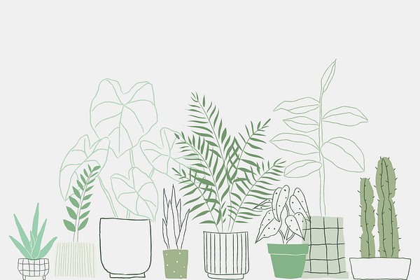 Green houseplant cactus doodle psd | Premium PSD - rawpixel