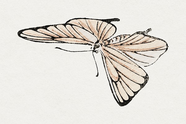 Monarch butterfly sticker, vintage illustration | Free PSD Illustration ...