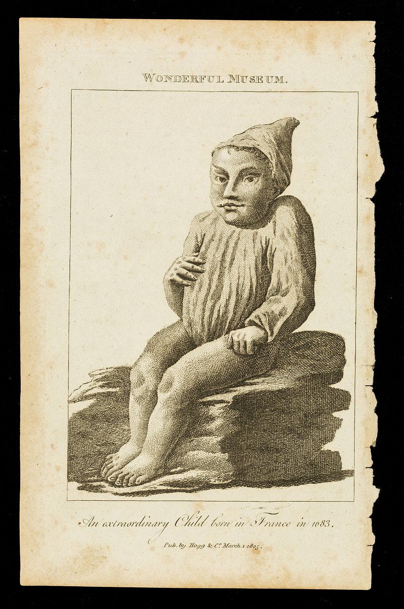 Amnion Images Free Photos PNG Stickers Wallpapers Backgrounds 