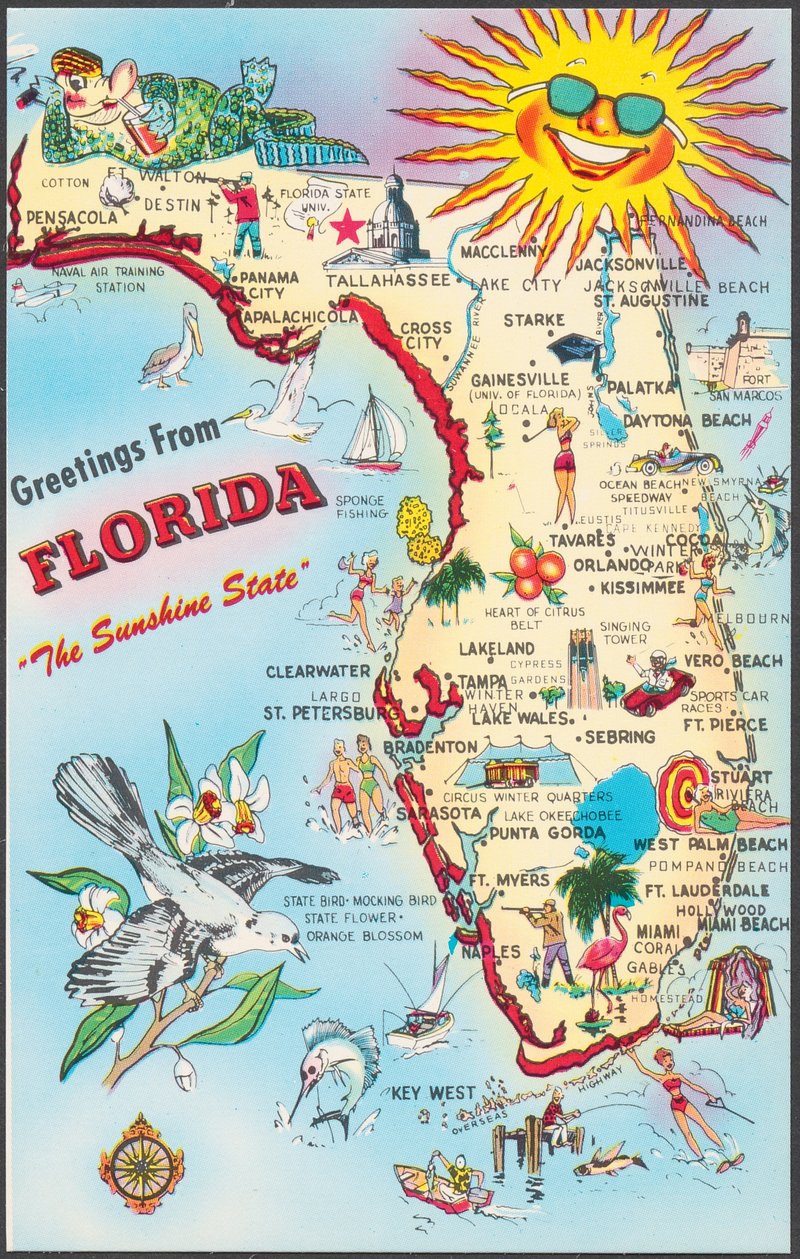 Florida Cartoon Map
