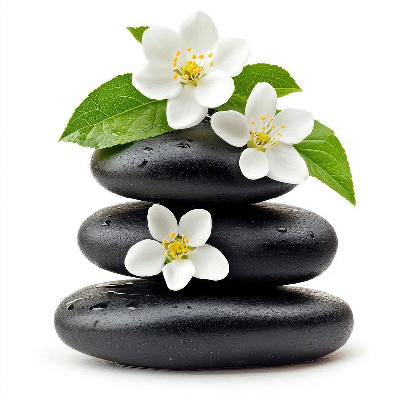 Blossoms concept flower leaves.