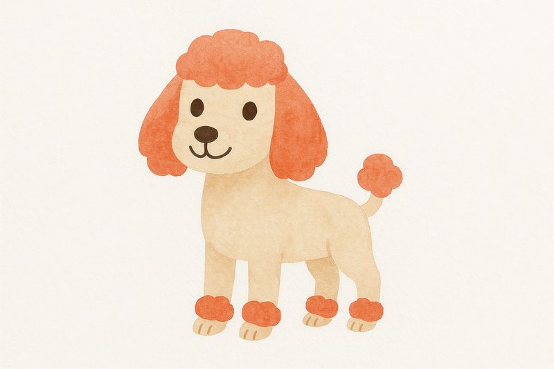 Cute cartoon poodle illustration