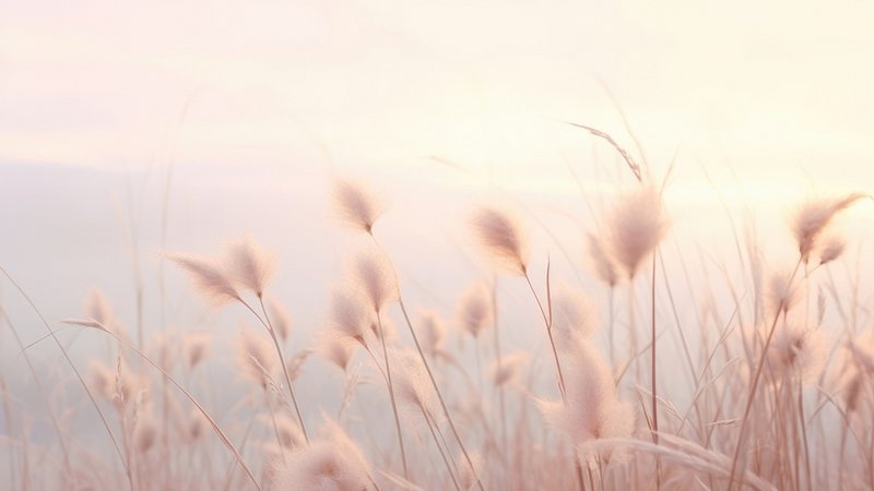 Serene pastel field landscape scene, desktop wallpaper