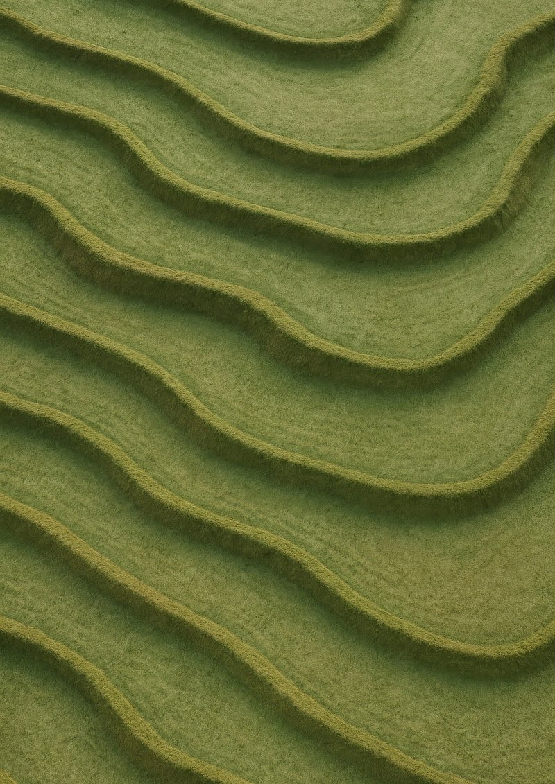 Lush terraced green fields landscape.