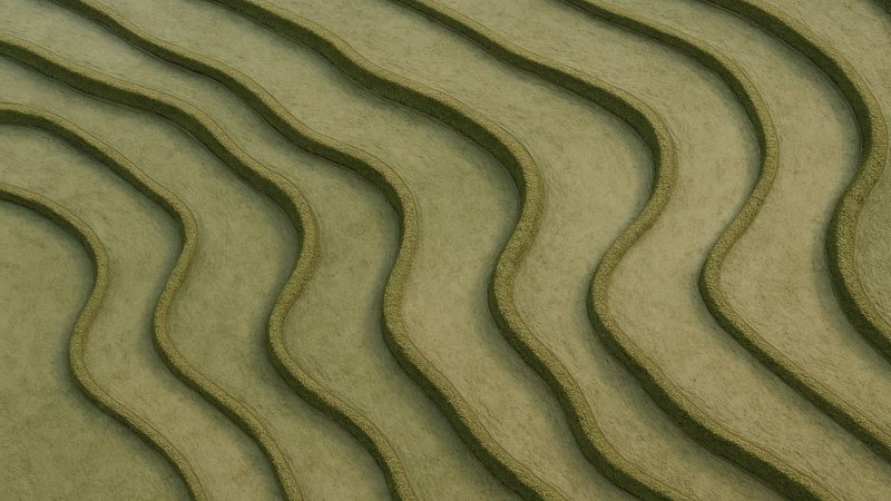 Serene terraced rice fields landscape.