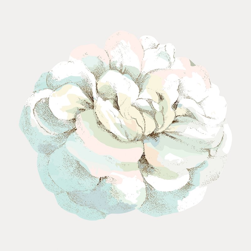 White rose, French flower vintage illustration by François-Frédéric Grobon isolated on white, vector. Remixed by rawpixel.